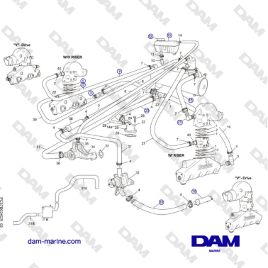 Crusader MP5.0 / 5.7L 2006...