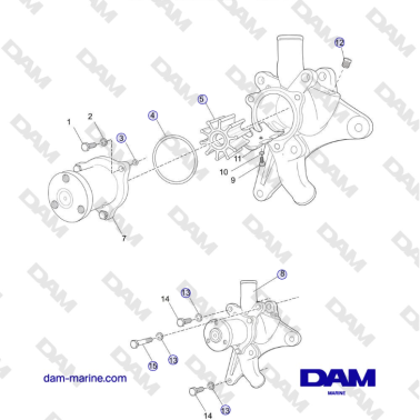 Crusader MP5.0 / 5.7L 2006...