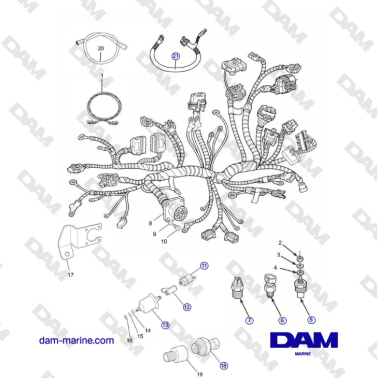 Crusader MP5.0 / 5.7L 2006...