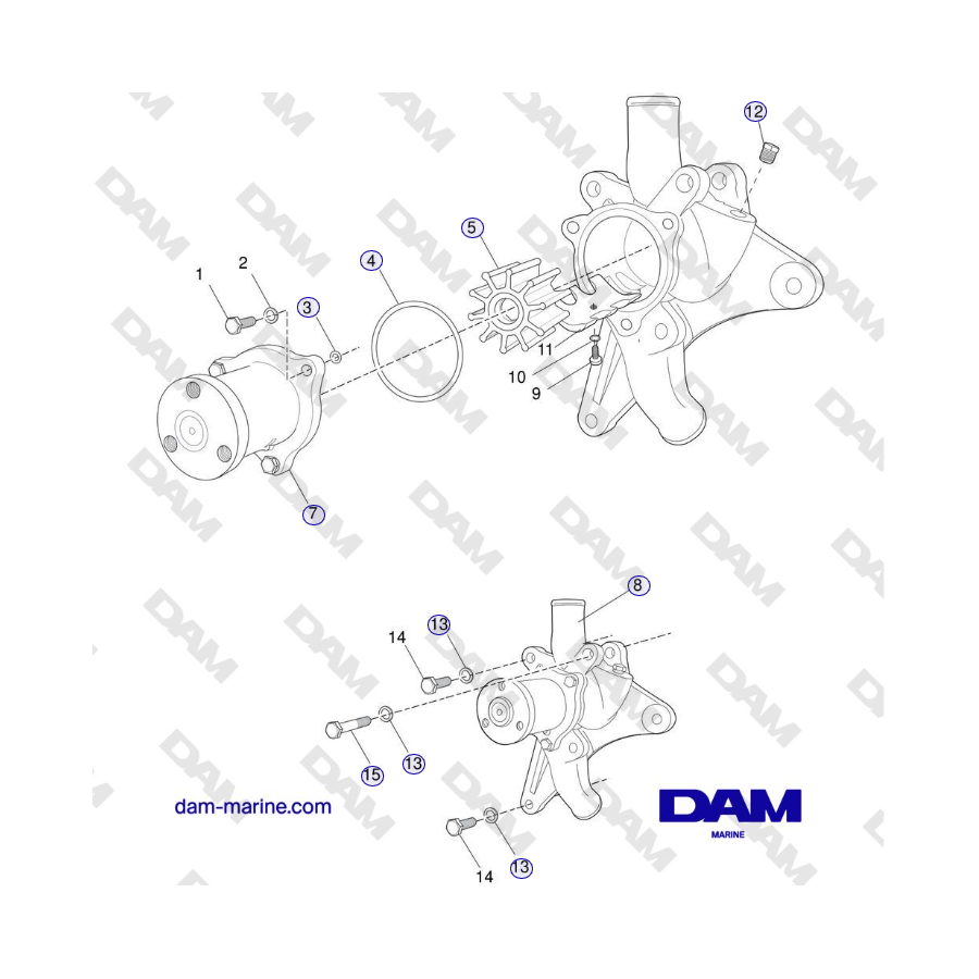 Crusader MP5.0/5.7L SN 670001 fino a 671633 - POMPA DI RAFFREDDAMENTO AD ACQUA GREZZA