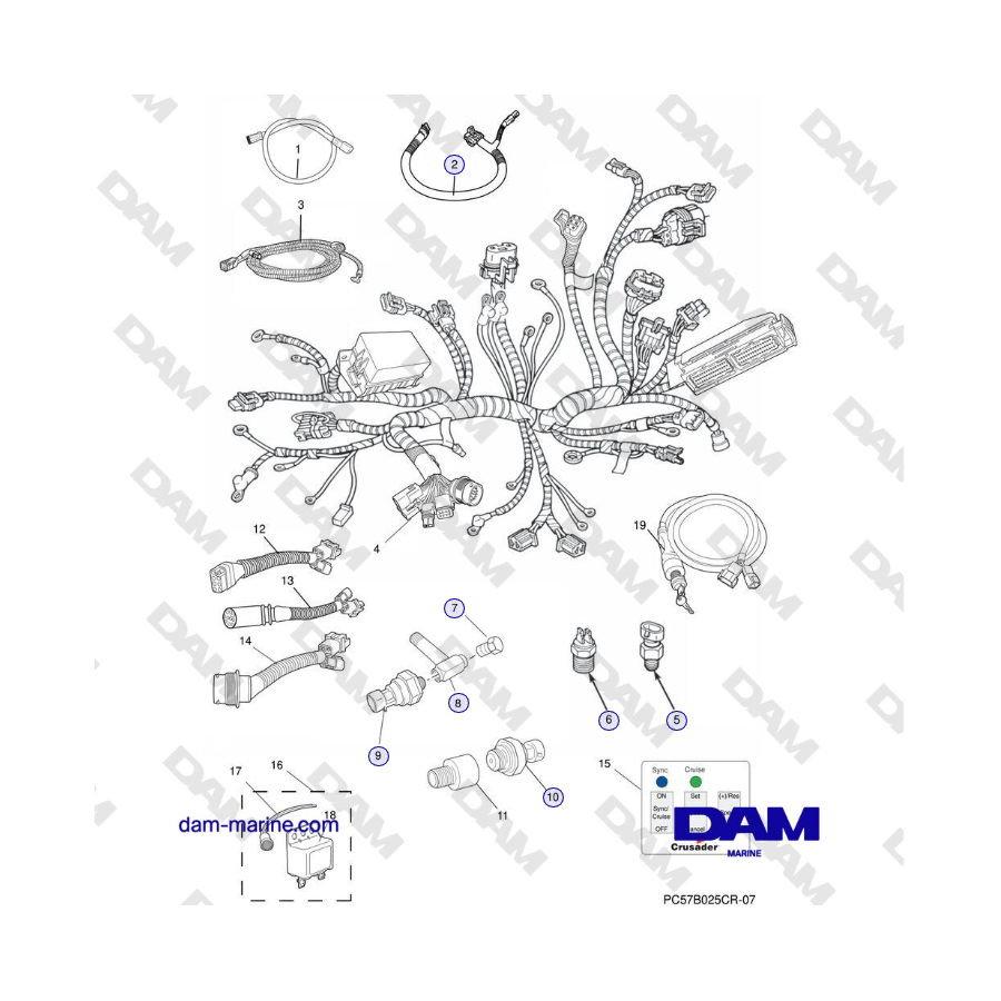 Crusader MP5.0/5.7L SN 670001 fino a 671633 - GRUPPI DI CABLAGGIO E TRASMETTITORI