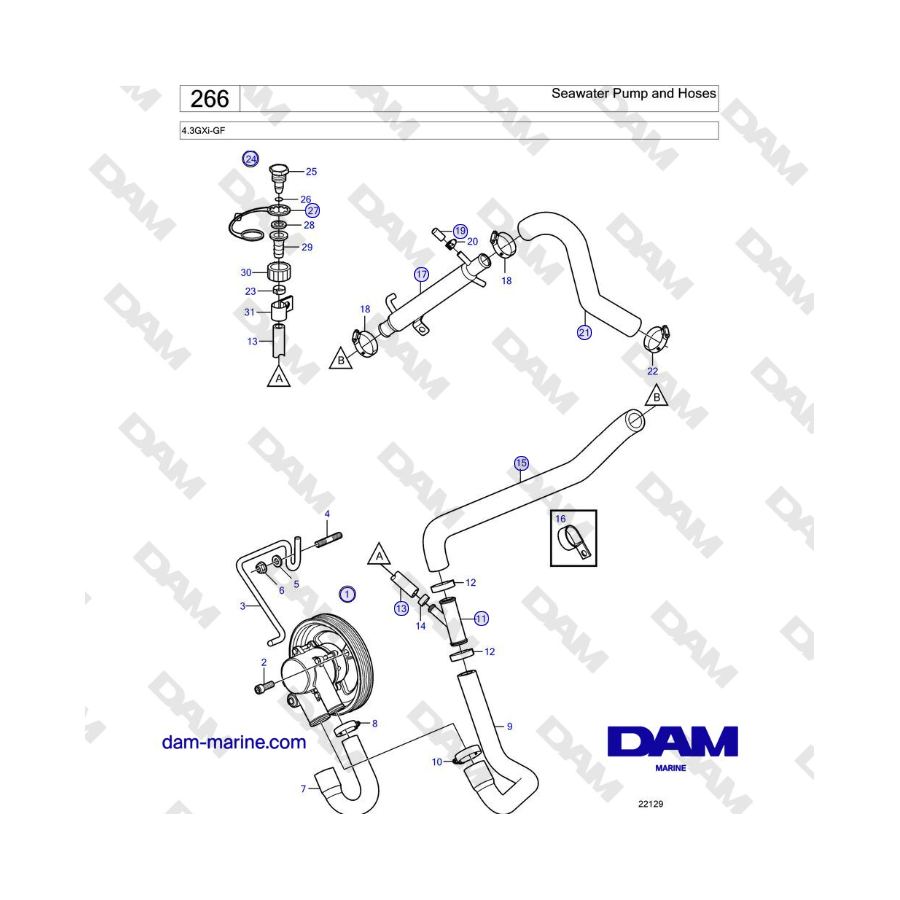Volvo Penta 4.3L GXI-GF - Seawater Pump and Hoses
