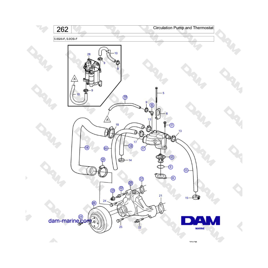 Volvo Penta 5.0L GXI-F / 5.0L GXI-FF - Pompa di circolazione e termostato