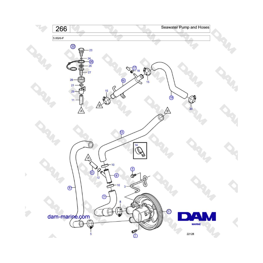 Volvo Penta 5.0L GXI-F - Bomba de agua de mar y mangueras
