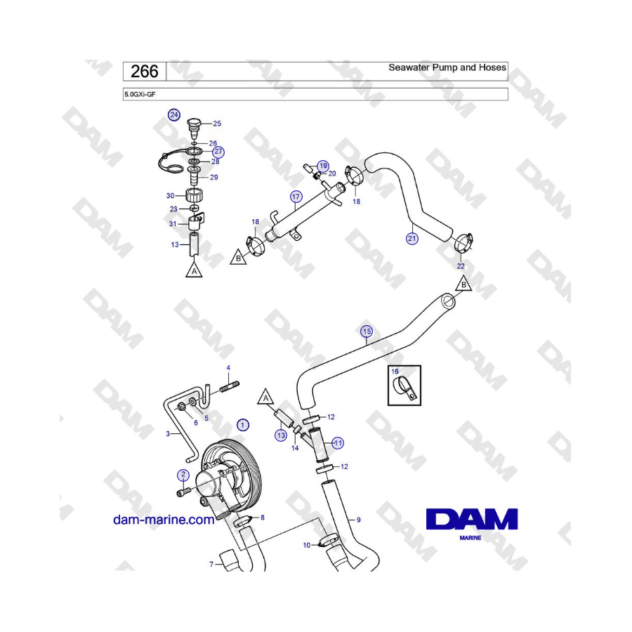 Volvo Penta 5.0L GXI-GF - Seawater Pump and Hoses