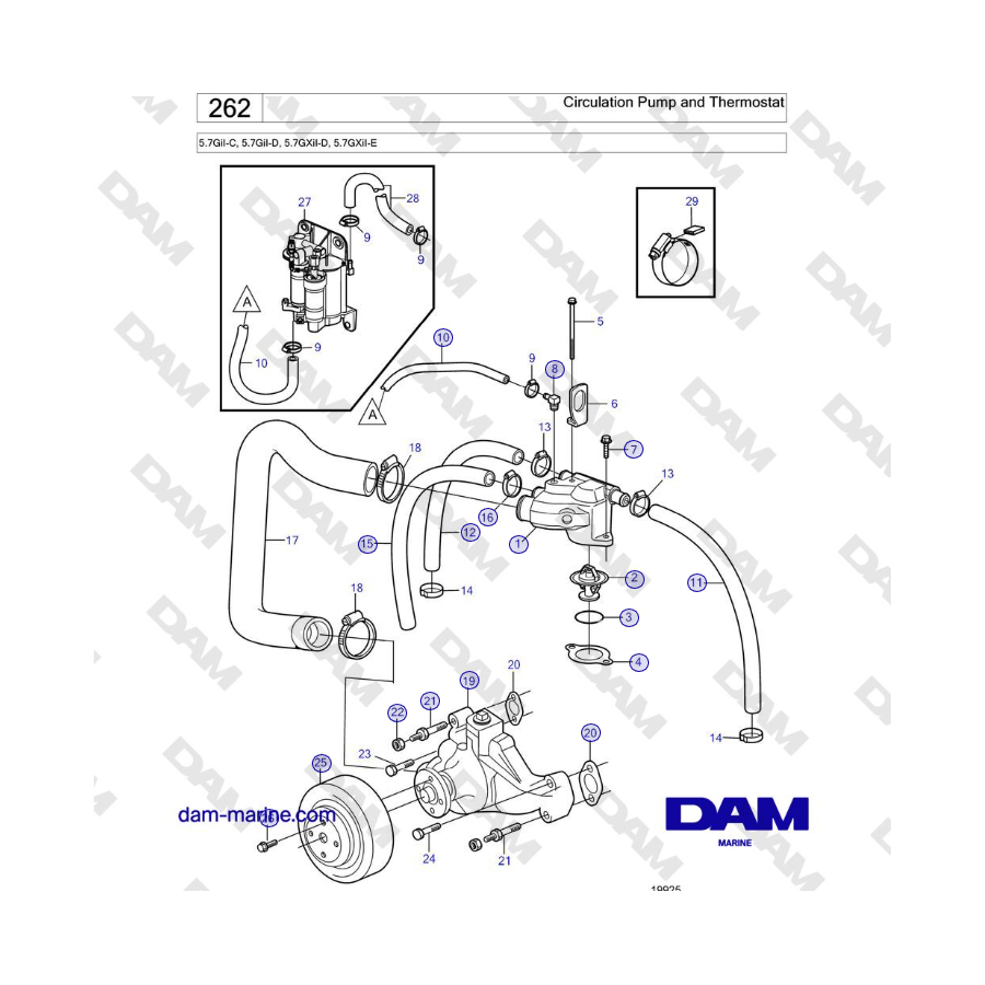 Volvo Penta 5.7GiI-C, 5.7GiI-D, 5.7GXiI-D, 5.7GXiI-E - Circulation Pump and Thermostat