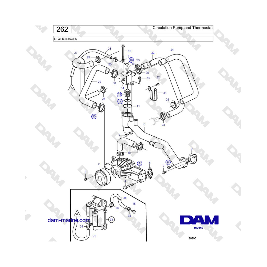 Volvo Penta 8.1GiI-E, 8.1GXiI-D - Circulation Pump and Thermostat