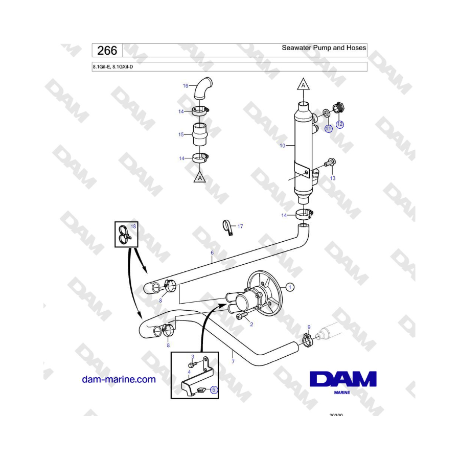 Volvo Penta 8.1GiI-E, 8.1GXiI-D - Seawater Pump and Hoses