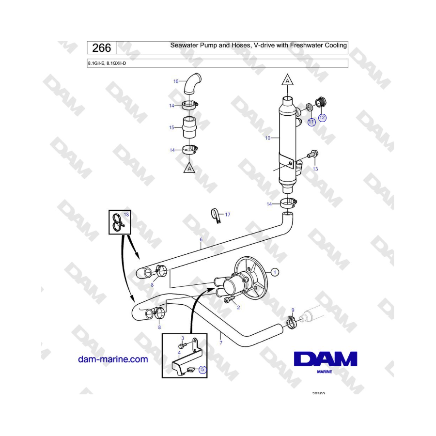 Volvo Penta 8.1GiI-E, 8.1GXiI-D - Seawater Pump and Hoses, V-drive with Freshwater Cooling