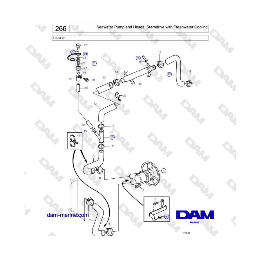 Volvo Penta 8.1OSi-BF - Seawater Pump and Hoses, Sterndrive with Freshwater Cooling