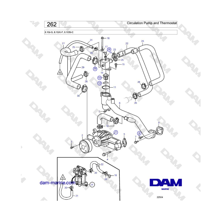 Volvo Penta 8.1Gi-G, 8.1GXi-F, 8.1OSi-C - Pompa di circolazione e termostato 