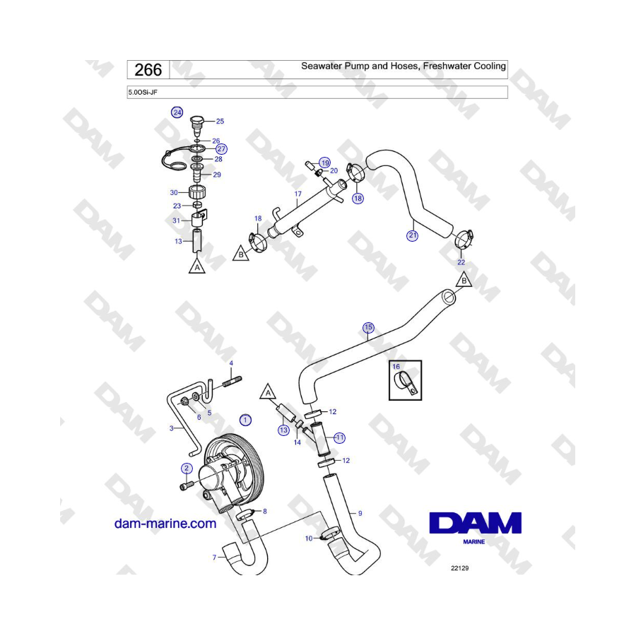 Volvo Penta 5.0OSi-JF - Bomba de agua de mar y mangueras, refrigeración por agua dulce