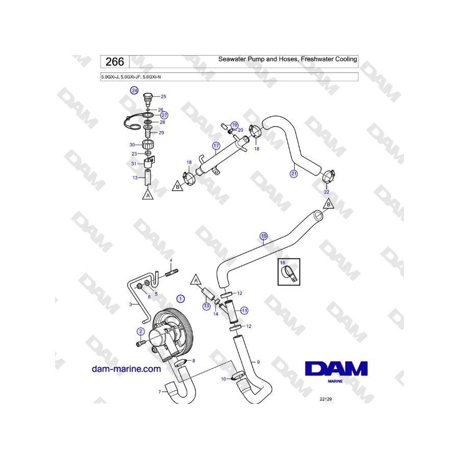 Volvo Penta 5.0GXi-J, 5.0GXi-JF, 5.0GXi-N - Seawater Pump and Hoses, Freshwater Cooling