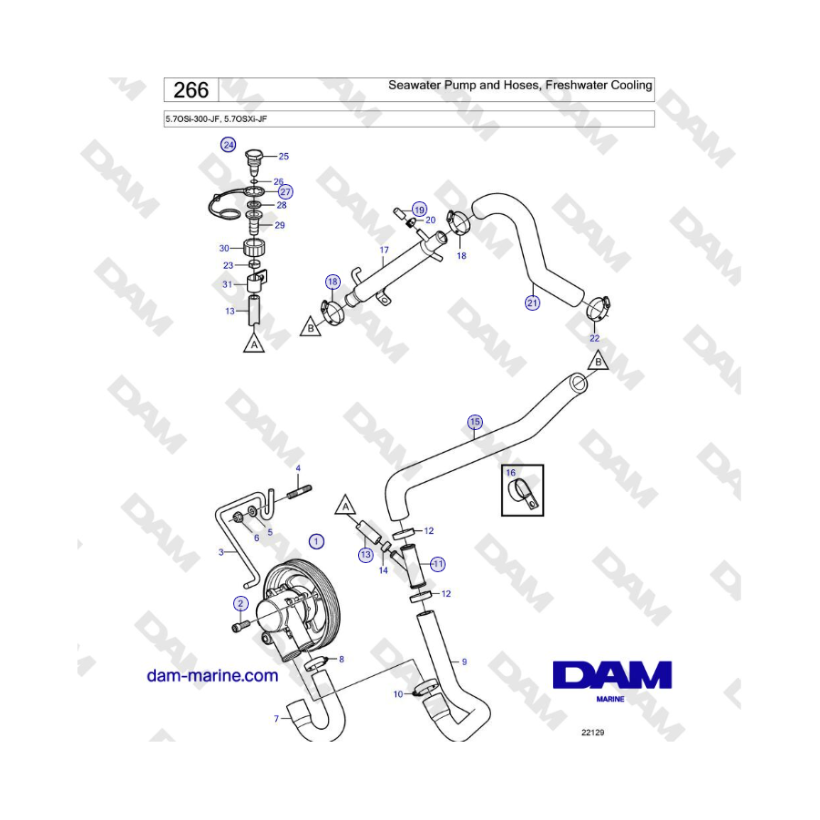 Volvo Penta 5.7OSi-300-JF, 5.7OSXi-JF - Seawater Pump and Hoses, Freshwater Cooling 