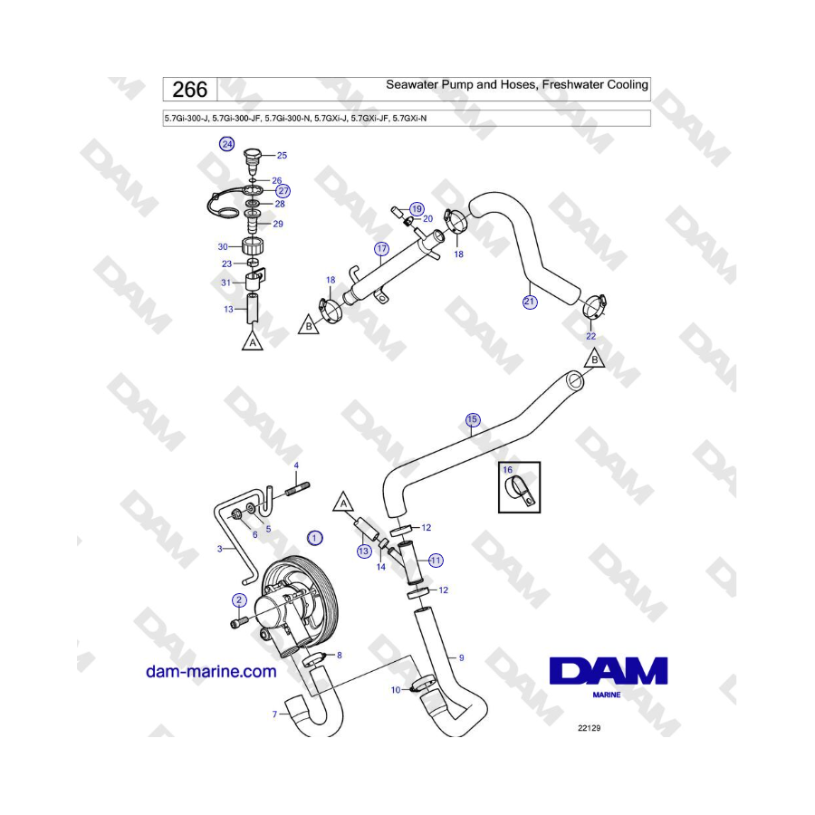 Volvo Penta 5.7Gi-300-J, 5.7Gi-300-JF, 5.7Gi-300-N, 5.7GXi-J, 5.7GXi-JF, 5.7GXi-N - Seawater Pump and Hoses, Freshwater Cooling
