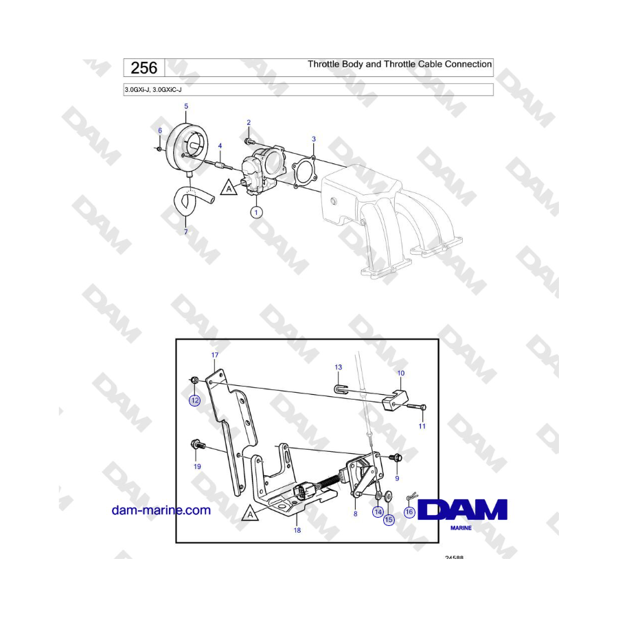 Volvo Penta 3.0GXi-J, 3.0GXiC-J - Conexión del cuerpo del acelerador y del cable del acelerador