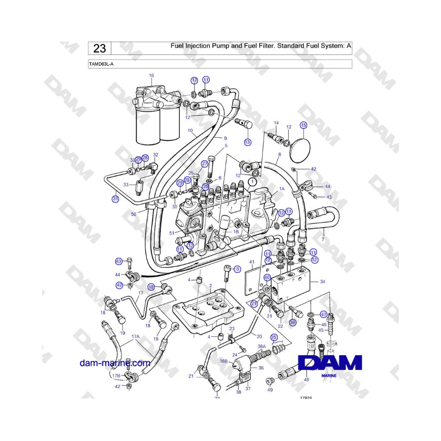 Volvo Penta TAMD63L-A - Pompa di iniezione del carburante e filtro del carburante. Sistema di alimentazione standard: A 