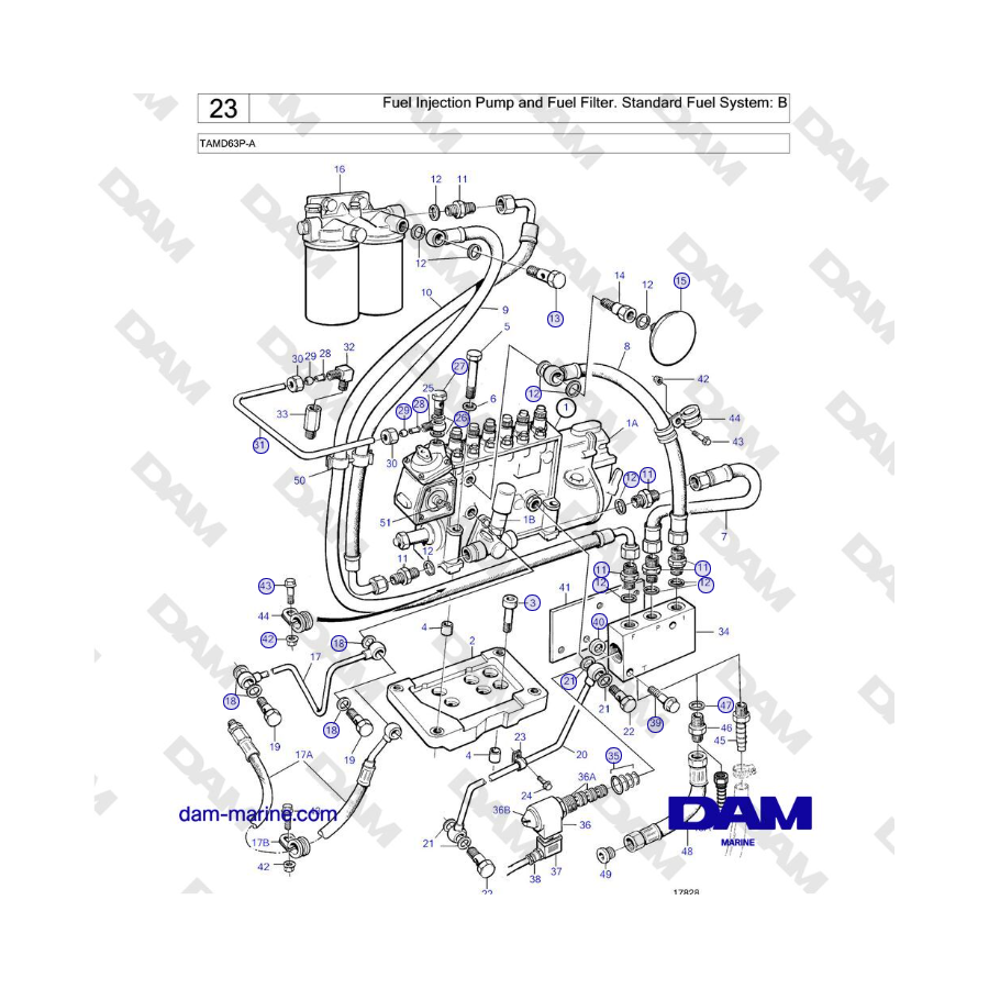 Volvo Penta TAMD63P-A - Bomba de inyección de combustible y filtro de combustible. Sistema de combustible estándar: B 