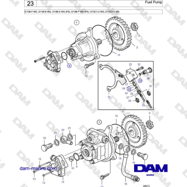 Volvo Penta D13B - Bomba de...