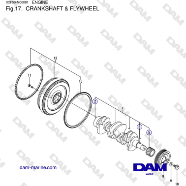 Yanmar 4JH45/4JH57 - ALBERO...