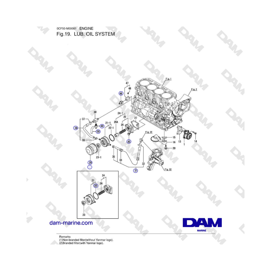 Yanmar 4JH45/4JH57 - SISTEMA DE ACEITE