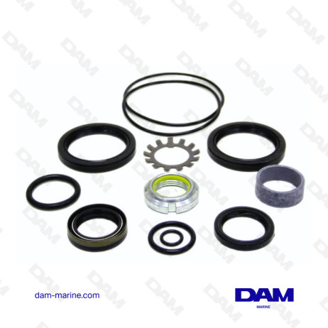 VOLVO DP-E DPX LOWER GEAR GASKET KIT