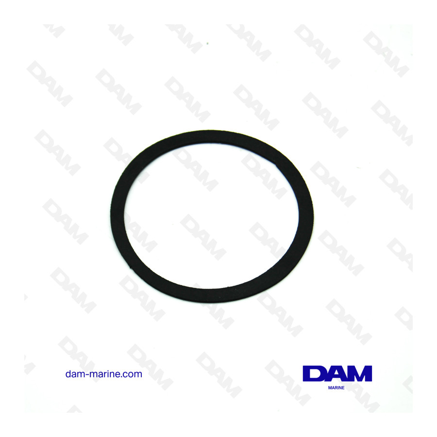 MERCRUISER THERMOSTAT GASKET DAM Marine