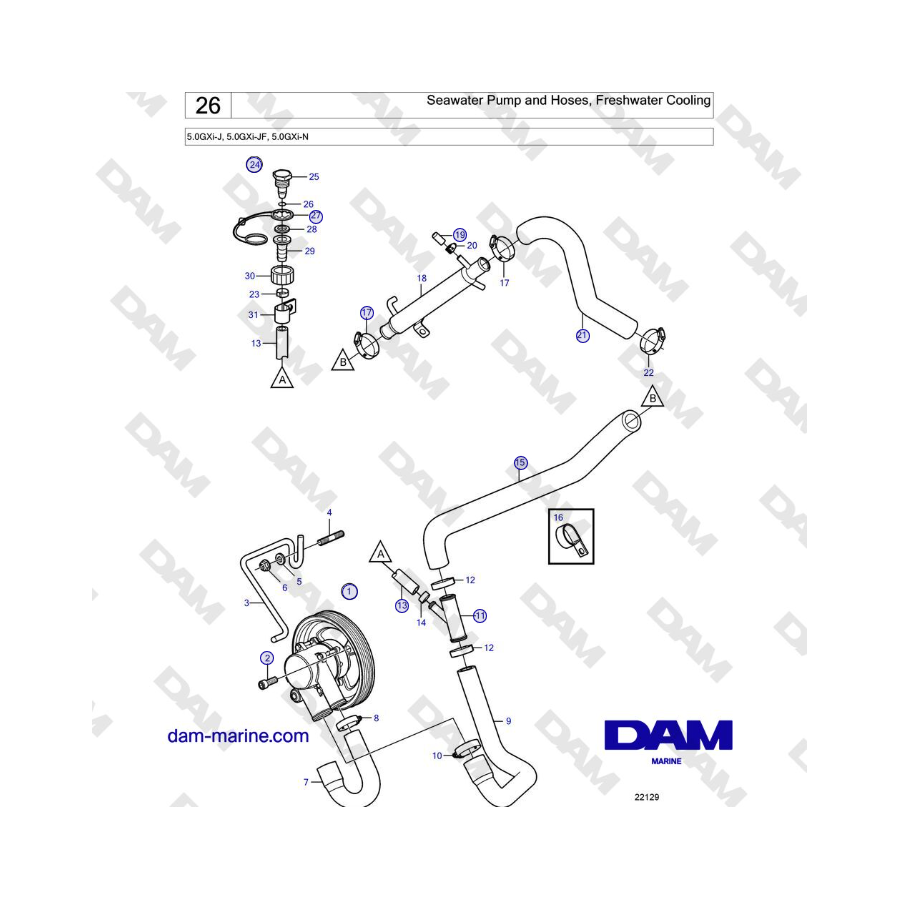 Volvo Penta 5.0GXi-J, 5.0GXi-JF, 5.0GXi-N - Seawater Pump and Hoses, Freshwater Cooling 