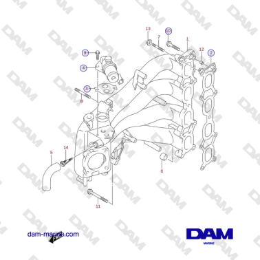 Suzuki DF100 - COLECTOR DE...