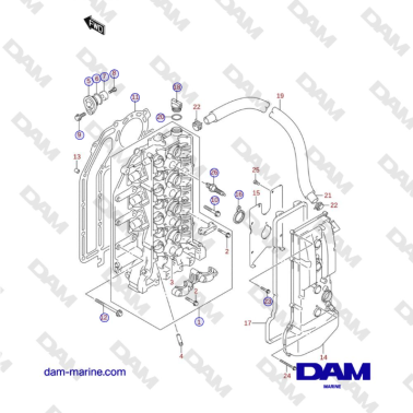 Suzuki DF115 - CYLINDER HEAD