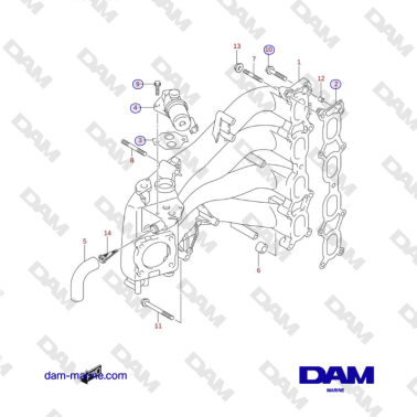 Suzuki DF115 - COLECTOR DE...
