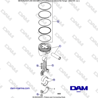 MERCRUISER 350 MAG MPI EC -...