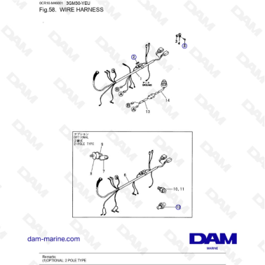 Yanmar 3GM30FC-YEU - ARNÉS...