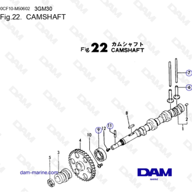 Yanmar 3GM30FC - ALBERO A...