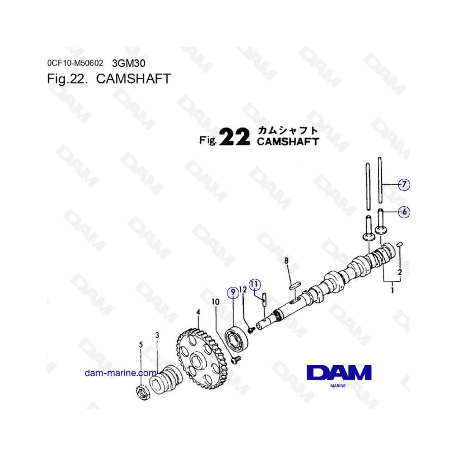Yanmar 3GM30FC - ALBERO A CAMME