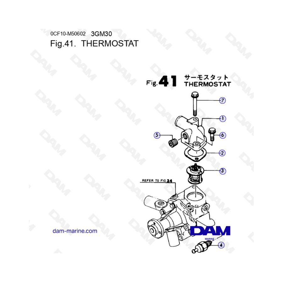 Yanmar Marine 3GM30F - TERMOSTATO