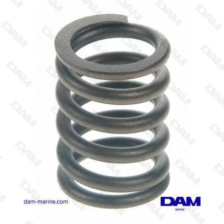 FORD EXHAUST VALVE SPRING
