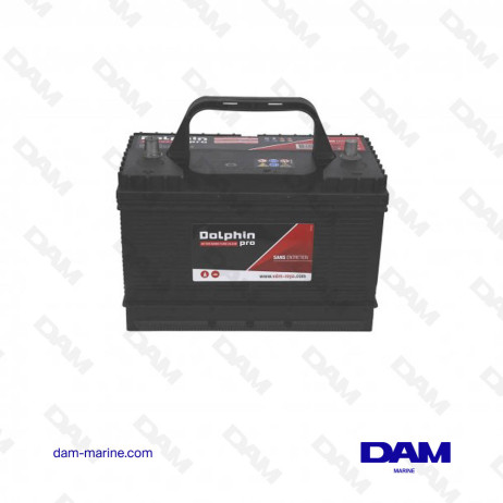 BATTERIE DOLPHIN PRO 108A