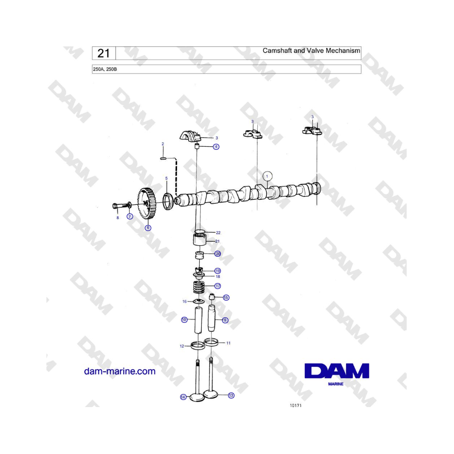 Volvo Penta 250A, 250B - Camshaft and Valve Mechanism