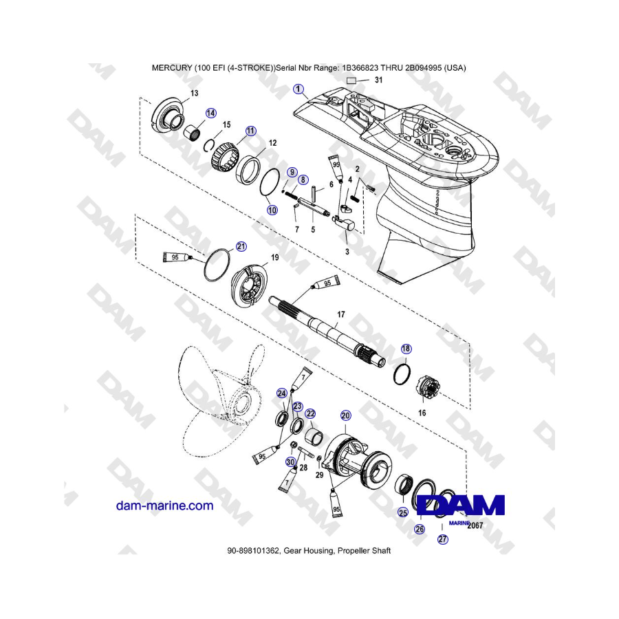 Mercruiser EFI 100 (4 TEMPI) - Scatola ingranaggi, albero elica