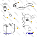 Repuestos para Vetus M2.02 / M2.04 / M2.06 / M2.C5 / M2.D5