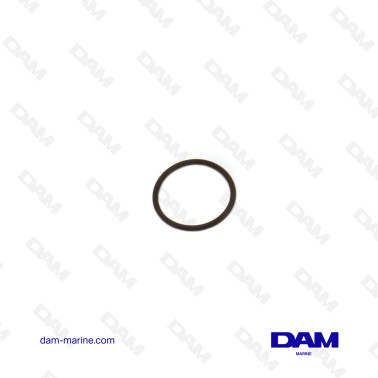 BRP OMC FUEL SEAL *