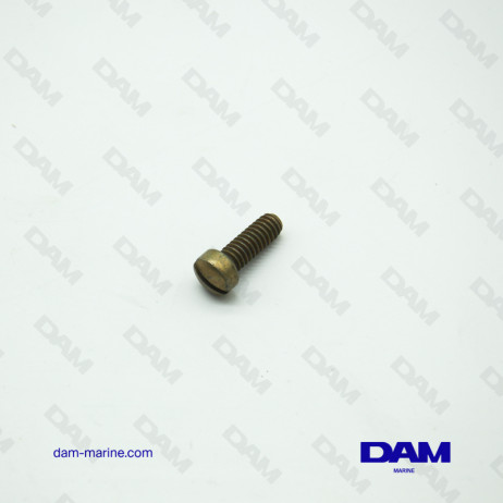 BRP OMC SCREWS *