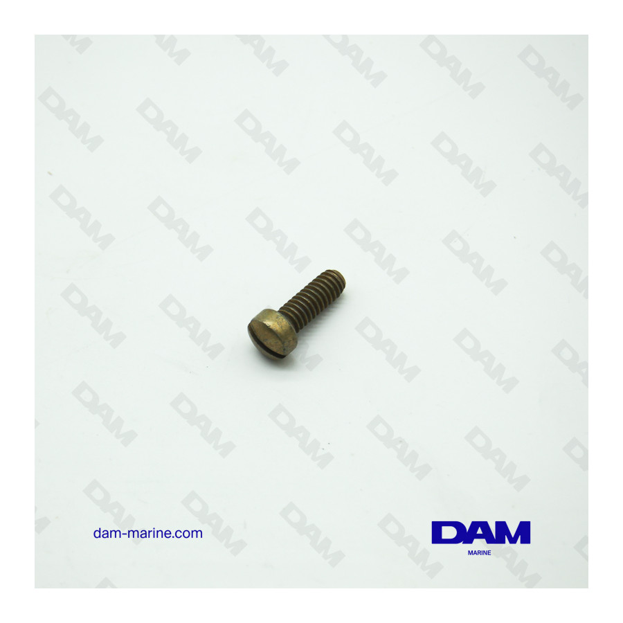 BRP OMC SCREWS *