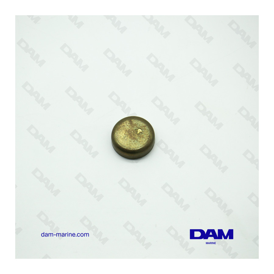 BRP OMC 23.70MM* SANDING REMOVAL TABLET