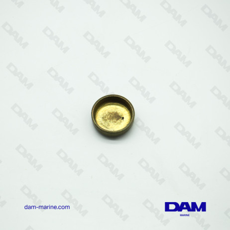 BRP OMC 23.70MM* SANDING REMOVAL TABLET