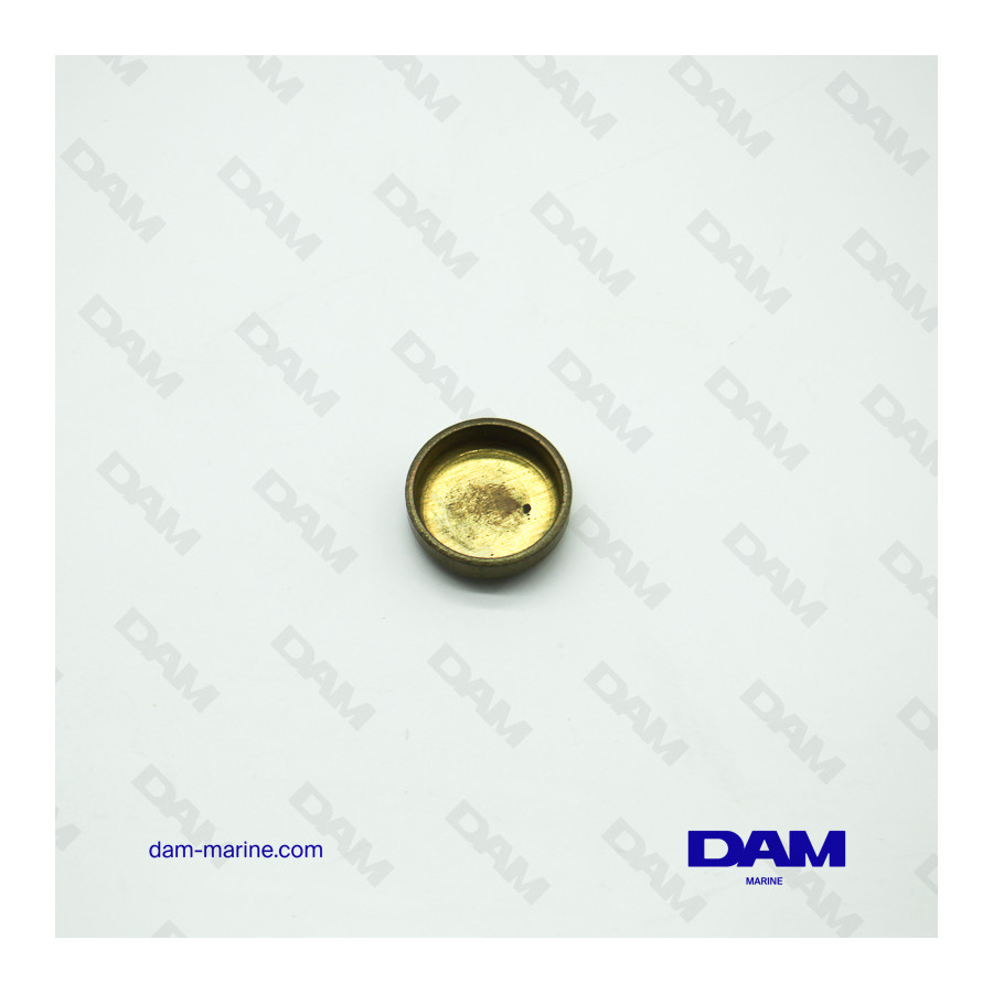 BRP OMC 23.70MM* SANDING REMOVAL TABLET