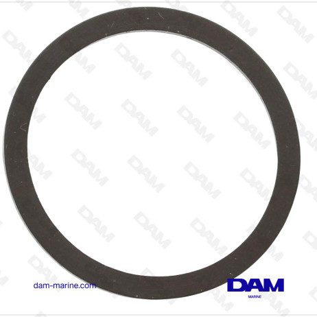 BRP OMC FUEL SEAL *
