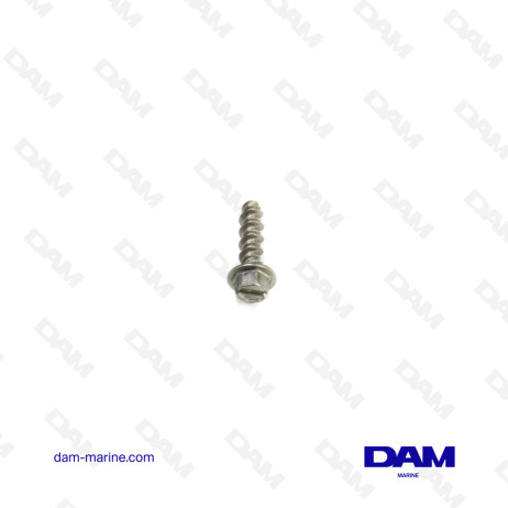 BRP OMC V4* SCREW