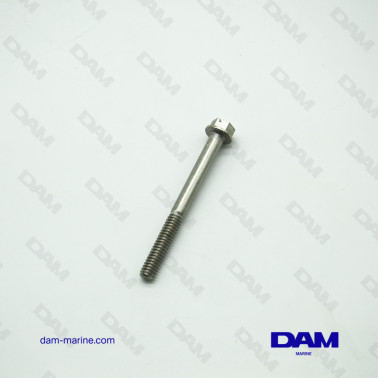BRP OMC V4* SCREW